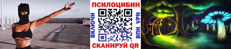 Псилоцибиновые грибы Cubensis  где продают наркотики  это формула  Болохово 